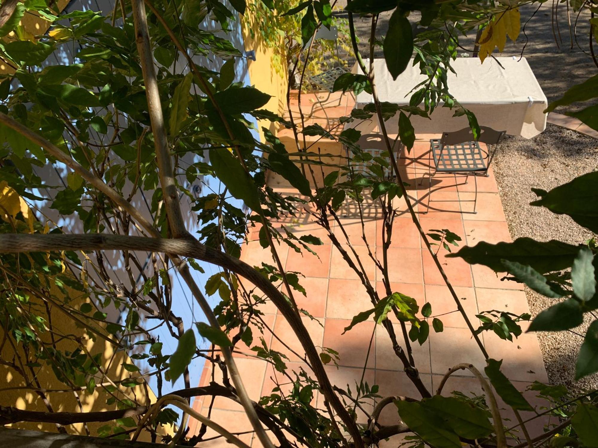 Sous Les Pins Parasols ヴィドーバン エクステリア 写真
